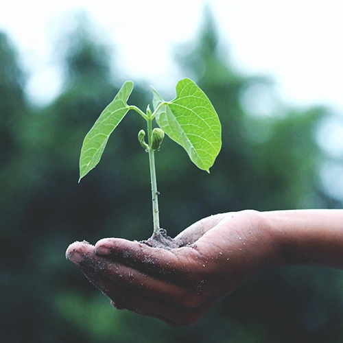 Ek-OH-eCommerce_website Ek-Oh eCommerce Website