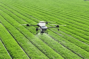 Drone Services from Capstone Signature Solutions